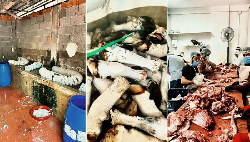 Adana'da Yüzlerce Kilo Paça Ele Geçirildi, Kontrolsüz tüketim tehlikesi!