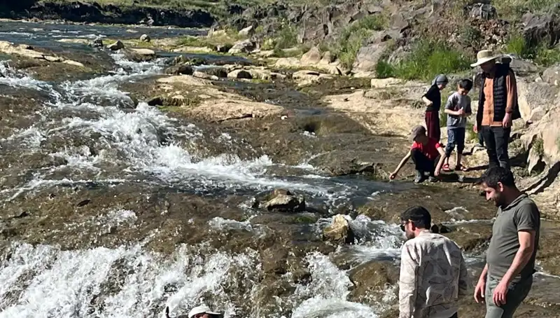 İnci Kefalinin Göçü: Doğanın Mucizesi ve Turistlerin Yeni Gözdesi