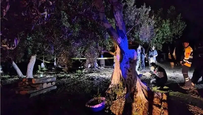 Çiftlikteki Baltalı Vahşete İki Tutuklama: Olayın Ardındaki Gerçekler