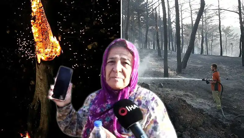 Çanakkale'deki Orman Yangınları Kontrol Altına Alındı: Hayatta Kalanlar Ne Yapacak?