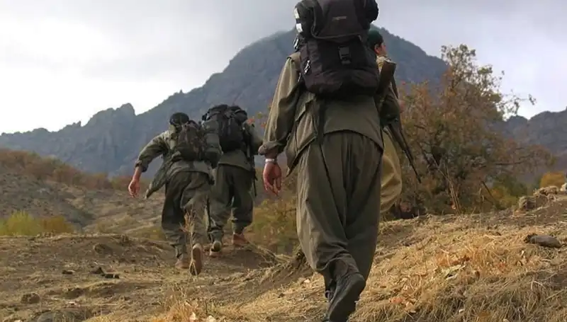 Türkiye'de Terörsüz 48 Saat: Öcalan'ın Mesajı Kandil'e Ulaşacak Mı?