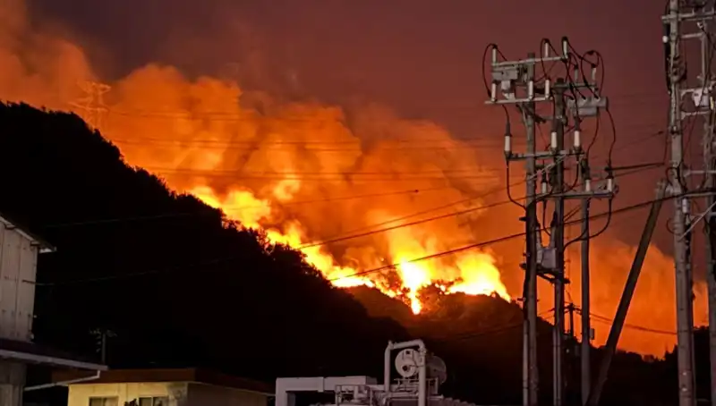 Japonya'da Sıcak Hava ve Rüzgar, İki Eyalette Orman Yangınlarını Tetikledi!