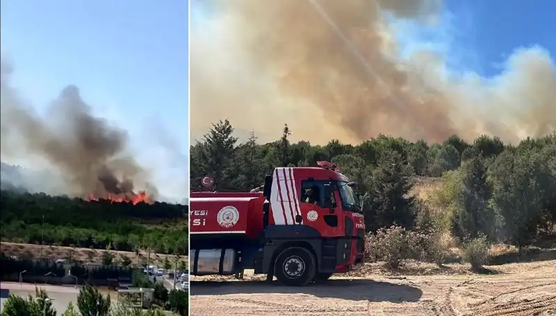 Gebze'de Orman Yangını: Ekipler Seferber Oldu, Yangın Kontrol Altına Alındı