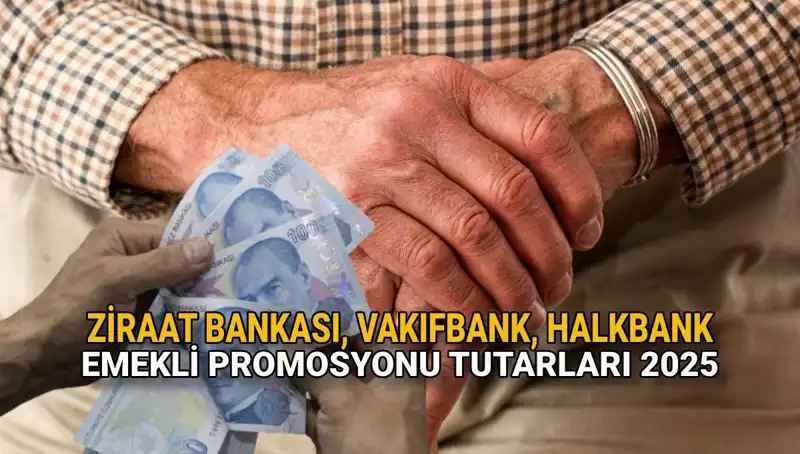 Emekliler İçin Kamu Bankalarından 2025 Promosyon Müjdesi!