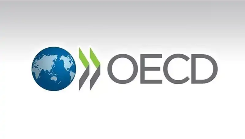 OECD, Türkiye Ekonomisi İçin Büyüme Tahminini Güncelledi: Ne Bekleniyor?