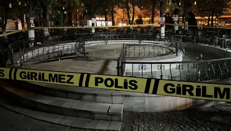 Kırklareli'nde Süs Havuzunda BÜYÜK Kaza: Dört Kişi Hastaneye Kaldırıldı