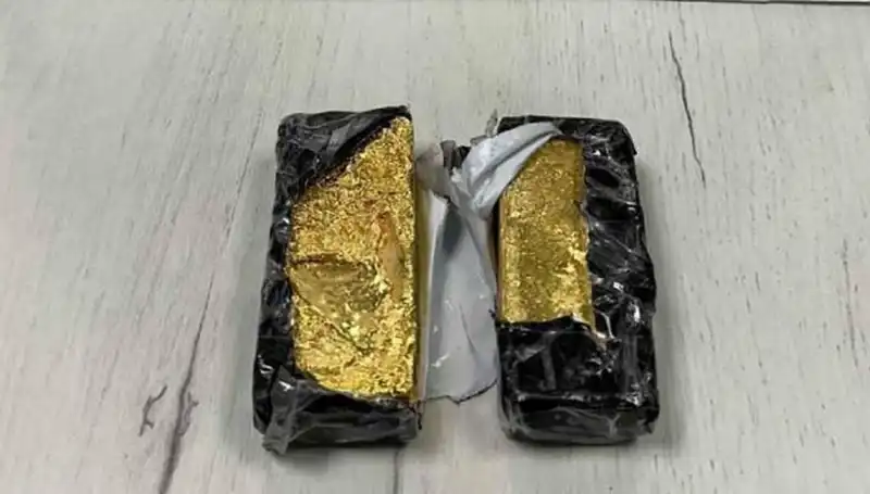 Sınırda Yakalanan Kaçak Altın Skandalı: 186 Bin Euro Deniz Kabuğu!