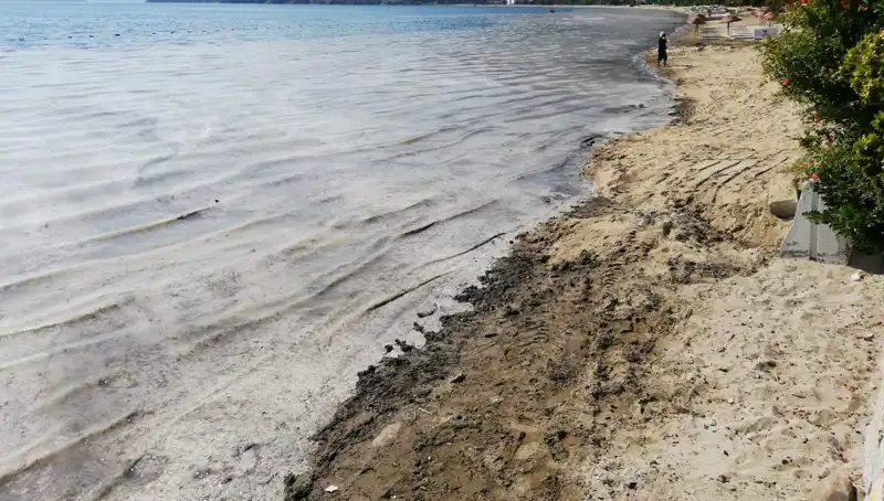 Müsilajla Mücadelede Şok Gelişme: 268 İşletme Kapandı!