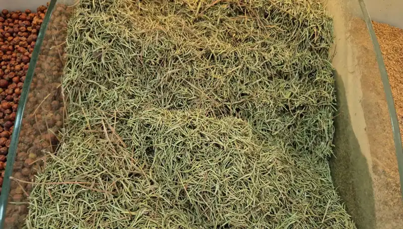 Yaz Aylarında Artan Satış: Ölüme Götüren Tehlikeli Ürünler