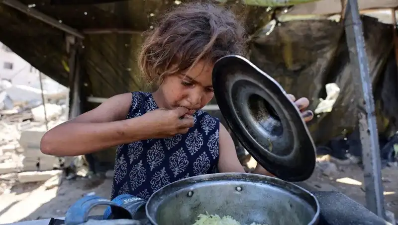 Gazze'de Kıtlık Alarmı: Savunmasızların Çağrısı ve Küresel Tepkiler