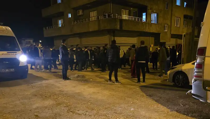 Şırnak'ta Taşlı ve Sopalı Kavga: Olayın Sebepleri Ne?