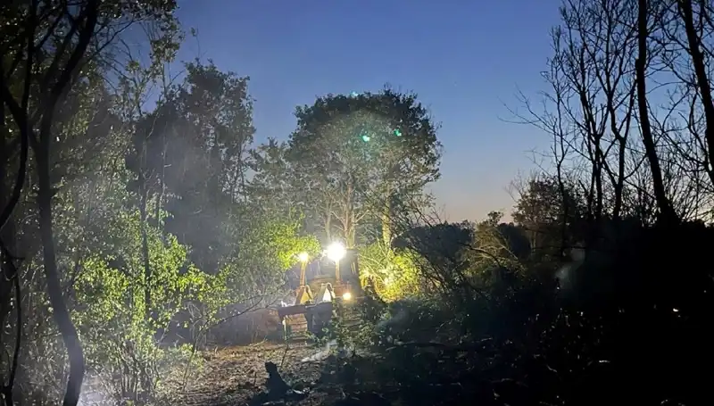 Edirne’deki Orman Yangını Kontrol Altına Alındı: Doğaya Eşsiz Bir Müdahale