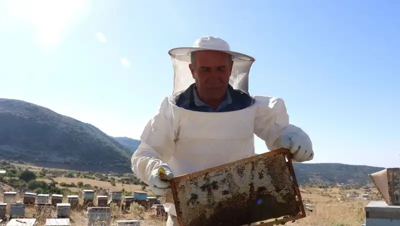 25 Yıl Sonra Mobilya Yerine Gıda Üreterek Rekor Kırdı!