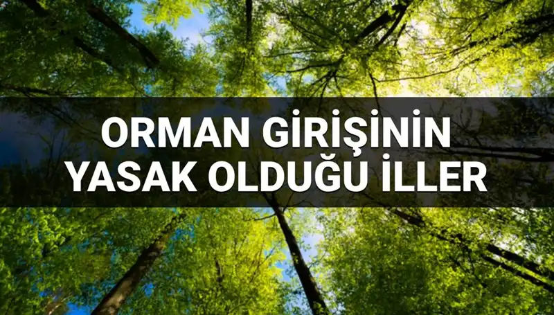 Ve Beklenen Liste Açıklandı: Ormana Girişin Yasaklı Olduğu İller
