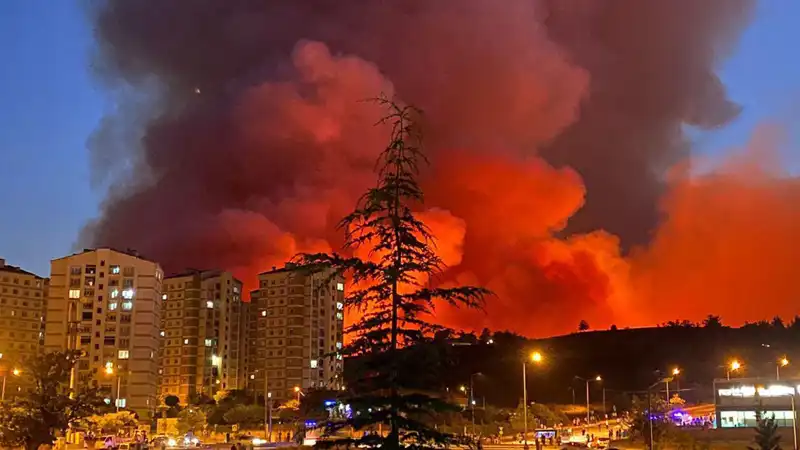 Bursa'da Neden Art Arda Yangınlar Çıkıyor? Uzmanlar Yanıtlıyor