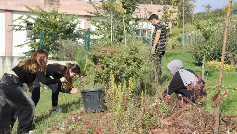 Düzce'nin Hayali Gerçek Oluyor: Dünya Çapında Bir Başarı Hikayesi