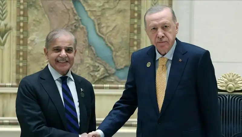 İstanbul'da Türkiye ve Pakistan Arasındaki Stratejik Diyalog: Erdoğan ve Şerif Görüşmesi