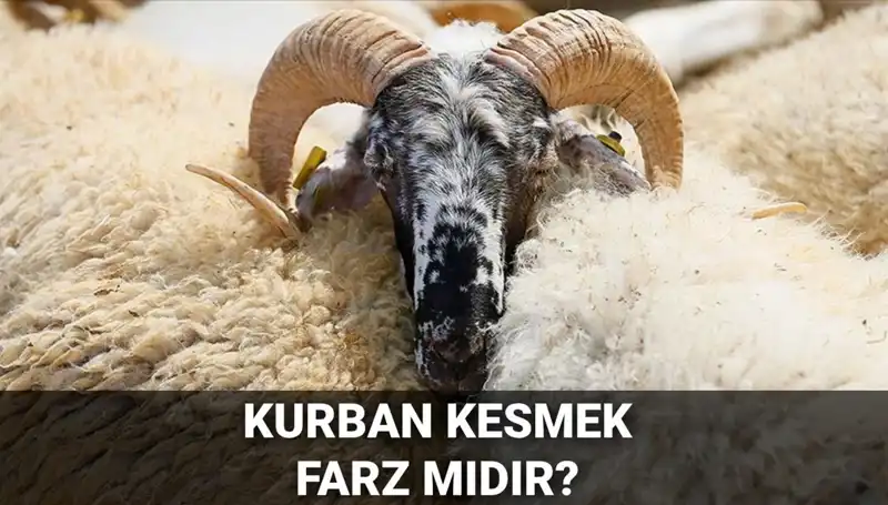 Kurban Kesmek Farz mı? Diyanet'in Detaylı Açıklaması