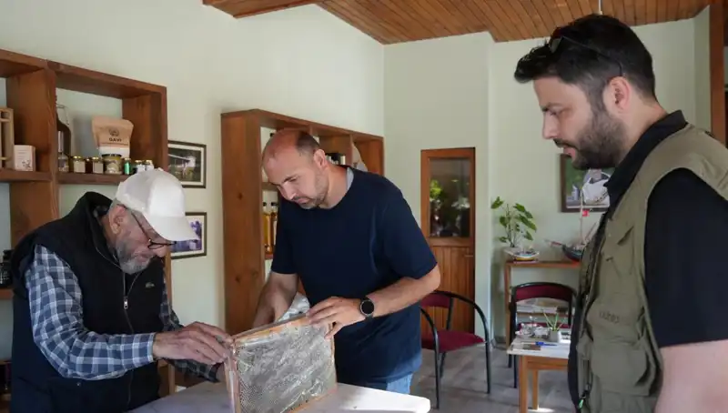Doktorlar Uyarıyor: 1 Çay Kaşığı ile Şifa Bulun, Dozunu Aşmayın!