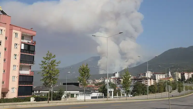 Denizli'de Orman Yangını: Şüpheli Gözaltında, Ayrıntılar Ortaya Çıkıyor