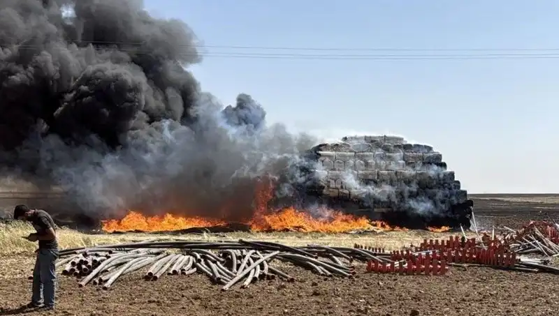 Mardin'de Anız Yangınları Mide Bulandıran Etkiler Yaratıyor