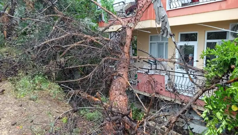 Beklenmedik Yağmur: Bina Tavanı Koptu ve Yolda Devrildi